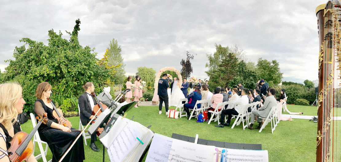 Hiring Harpists for Events Aoyama Harps